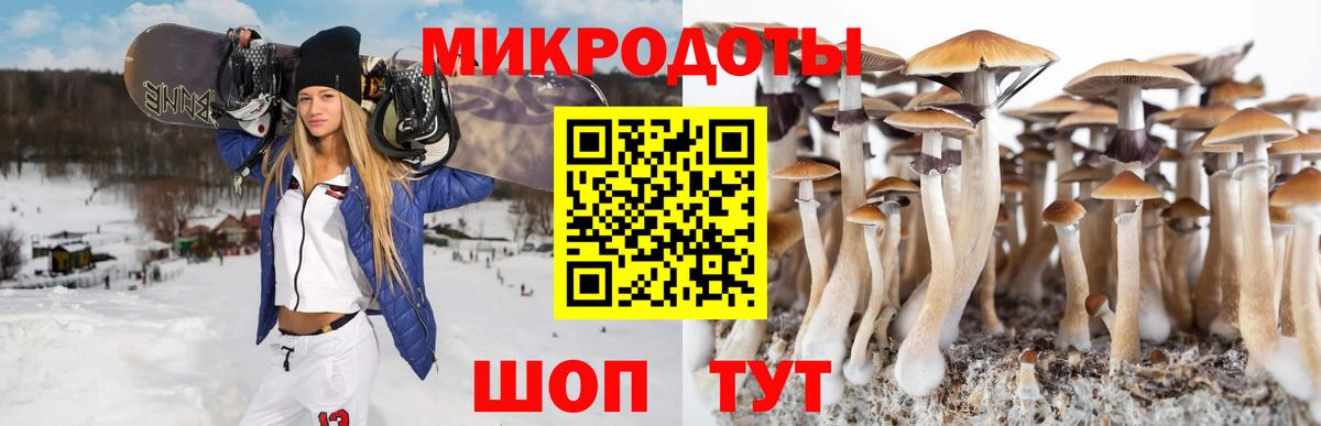 Галлюциногенные грибы прущие грибы Вязники